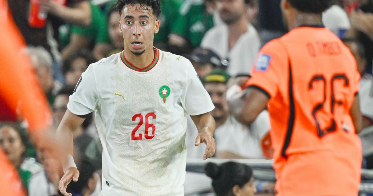أنس صلاح الدين 
