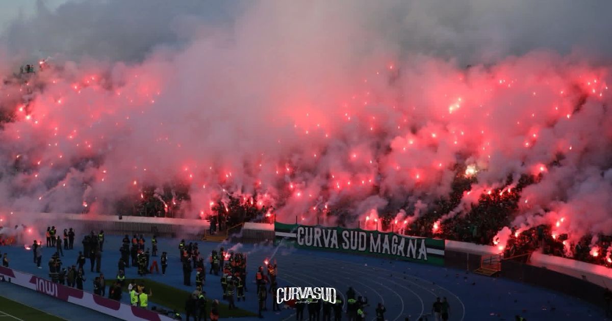 الكورفا سود