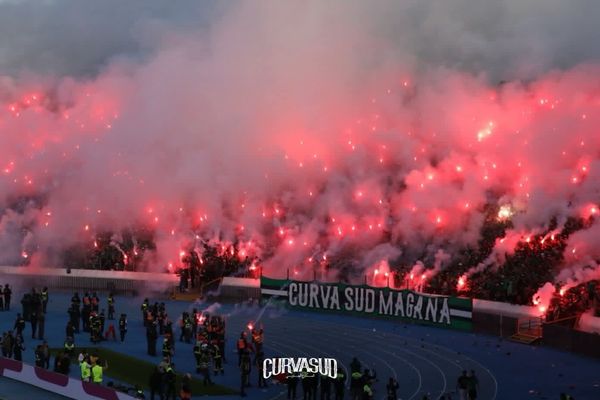 الكورفا سود