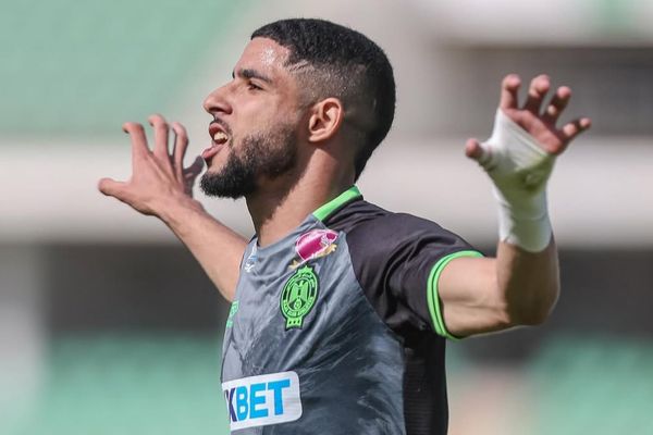 المهدي موهوب 