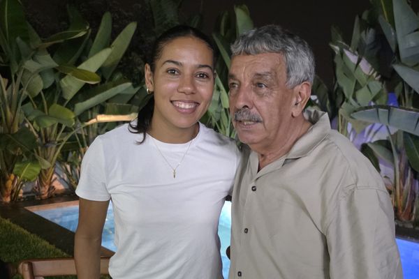 غزلان الشباك