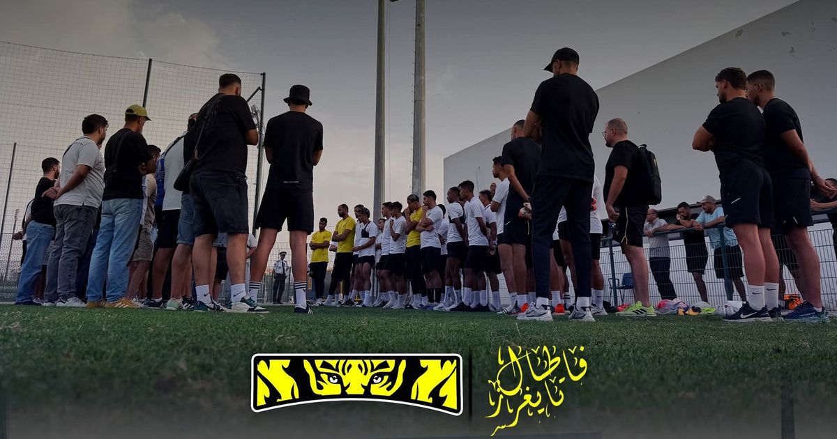 فتال تايغرز