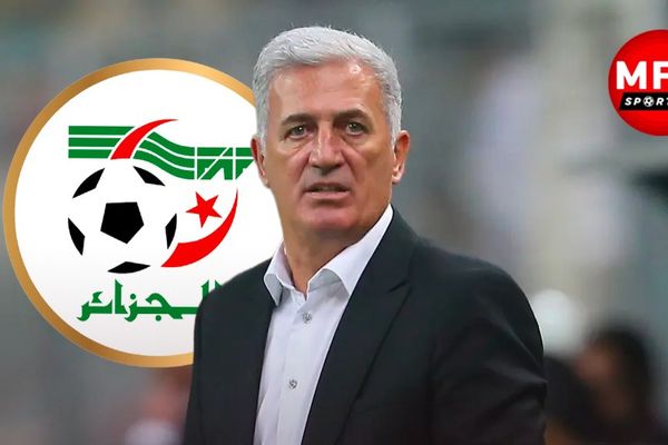 فلاديمير بيتكوفيتش 