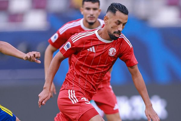 محمد ربيع حريمات 