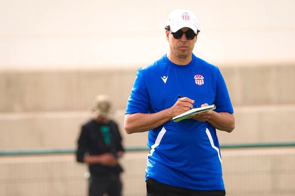 هلال الطير 