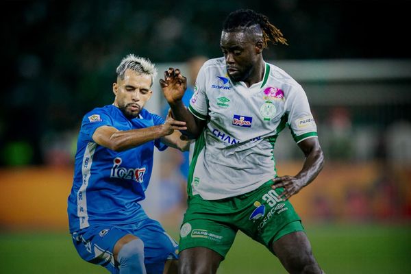 Raja rcaz