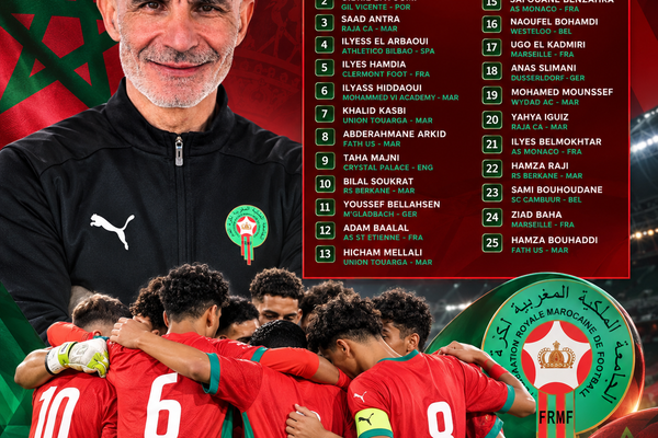 لائحة باتيلي